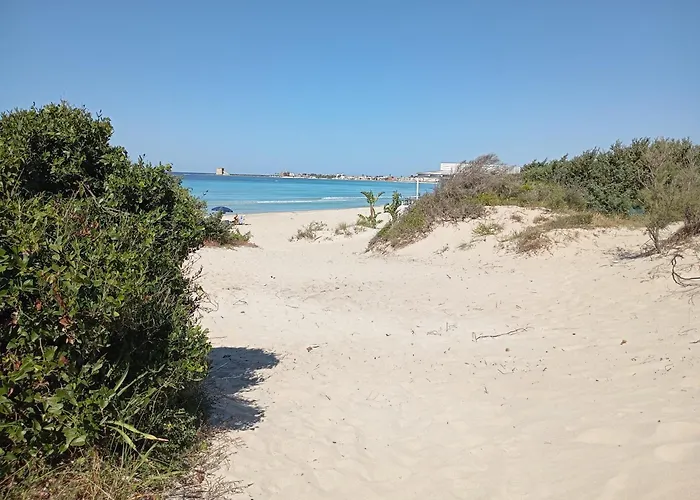 Agriturismo Il Pavone