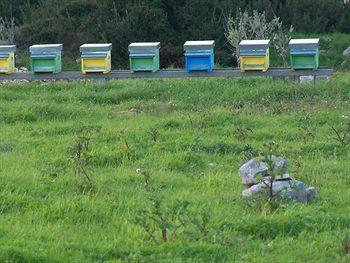 Vakantieboerderij Il Pavone