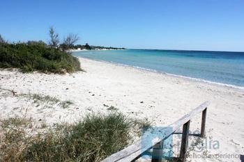 Il Pavone Alojamento de Turismo Rural Torre Lapillo