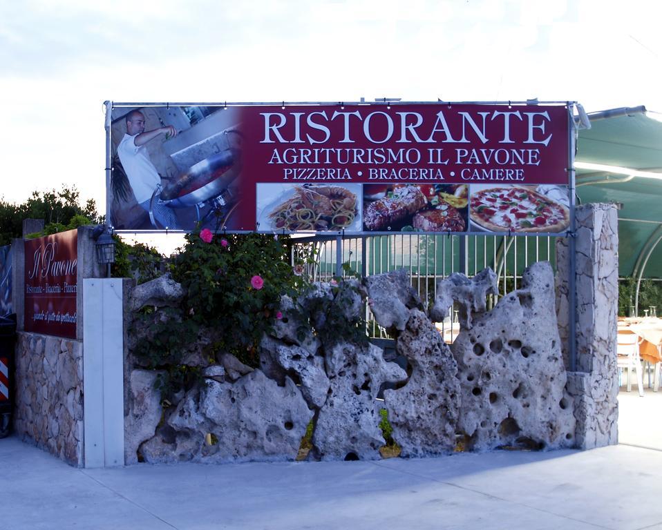 Il Pavone Torre Lapillo