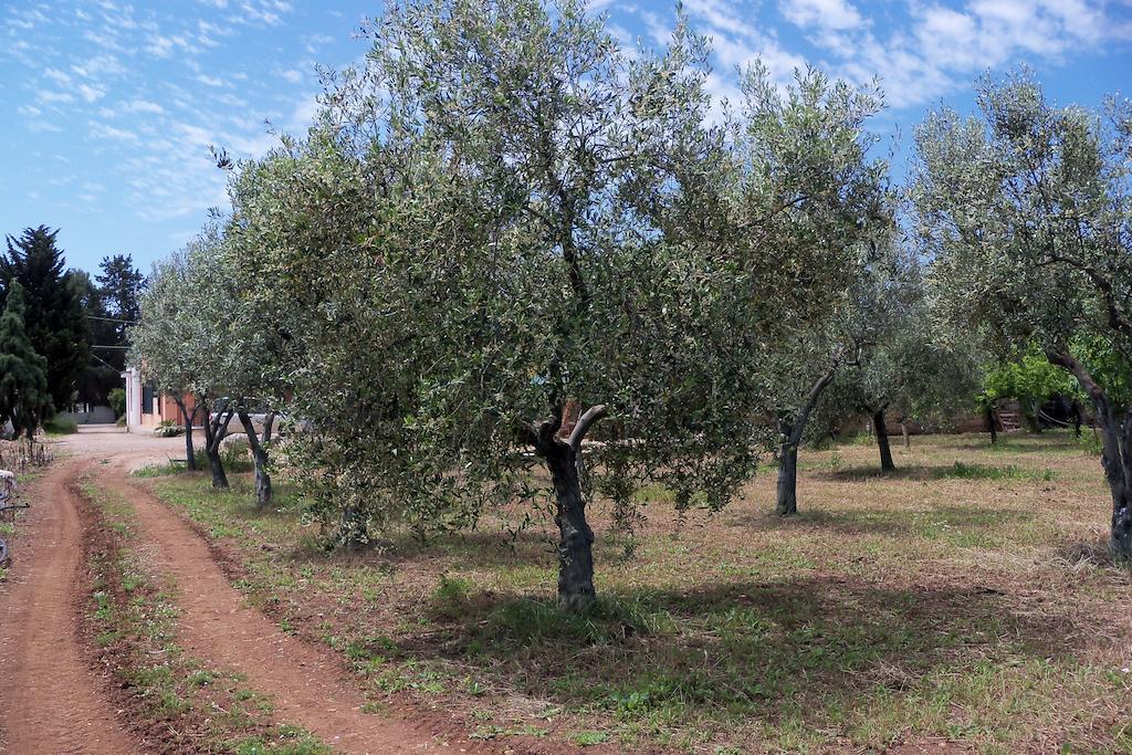 Il Pavone * Torre Lapillo