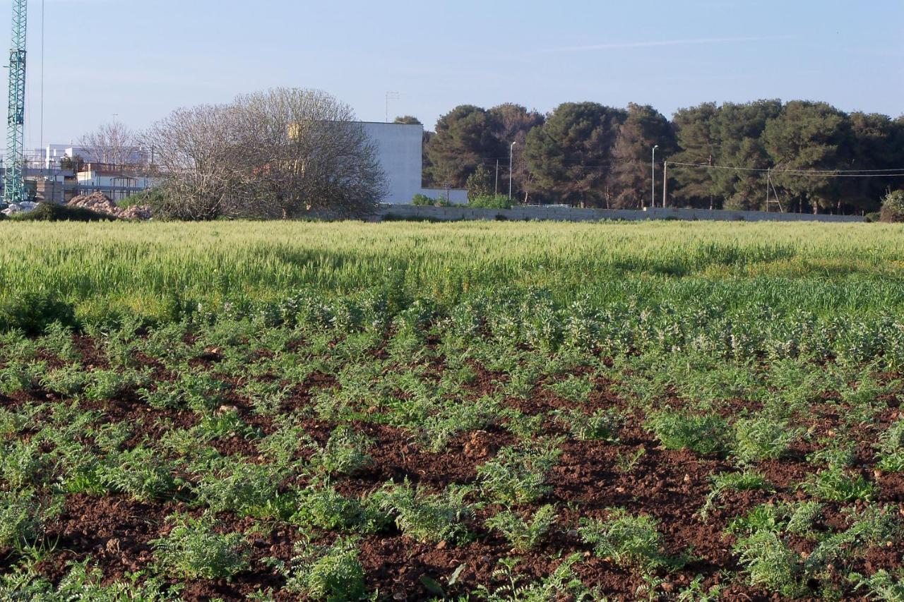 Il Pavone Séjour à la ferme *